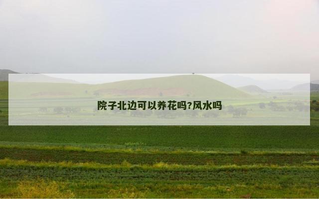 院子北边可以养花吗?风水吗