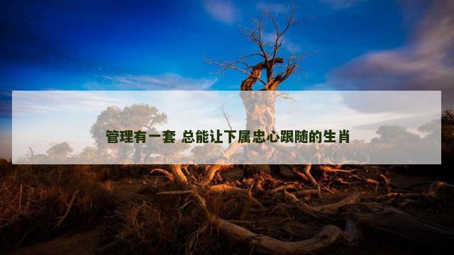 管理有一套 总能让下属忠心跟随的生肖