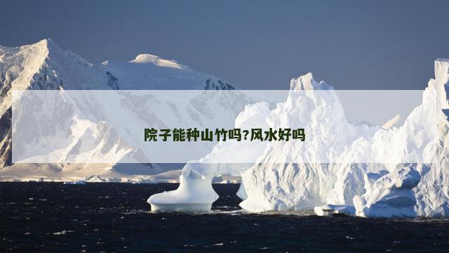 院子能种山竹吗?风水好吗