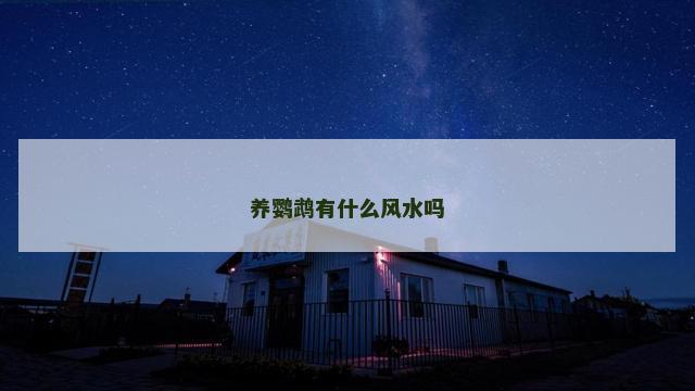 养鹦鹉有什么风水吗