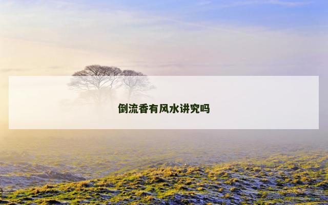 倒流香有风水讲究吗