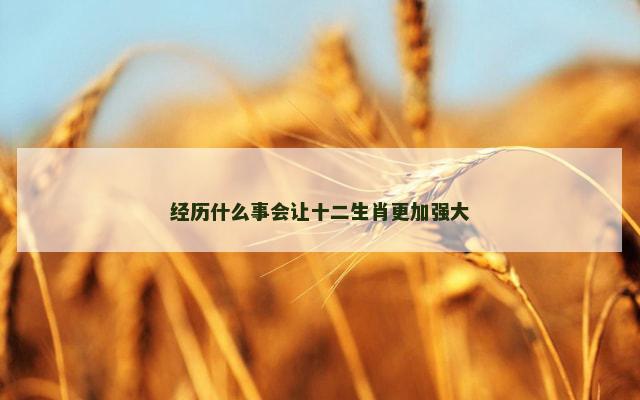 经历什么事会让十二生肖更加强大