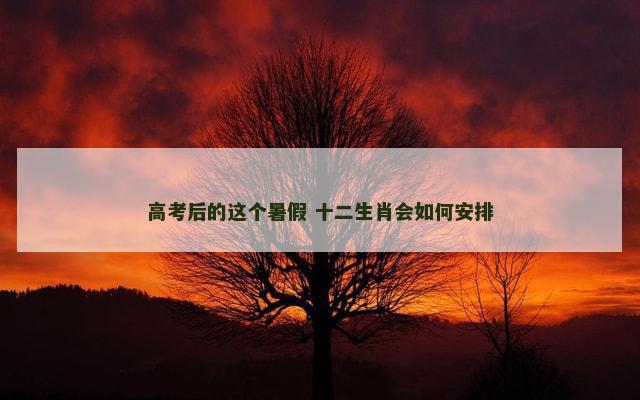 高考后的这个暑假 十二生肖会如何安排