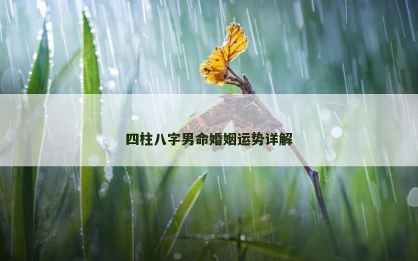 四柱八字男命婚姻运势详解