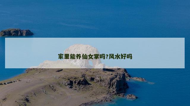 家里能养仙女掌吗?风水好吗