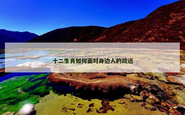 十二生肖如何面对身边人的疏远