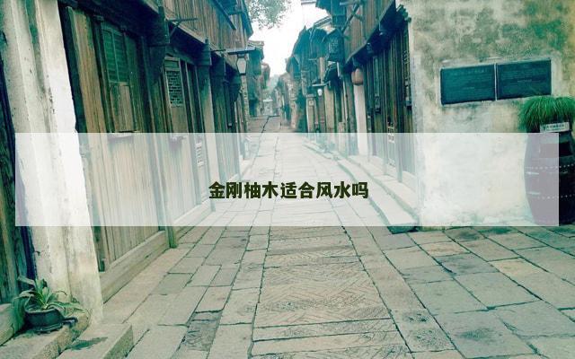 金刚柚木适合风水吗