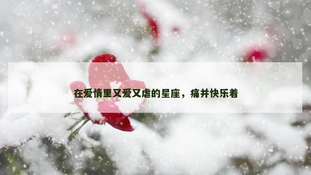 在爱情里又爱又虐的星座，痛并快乐着