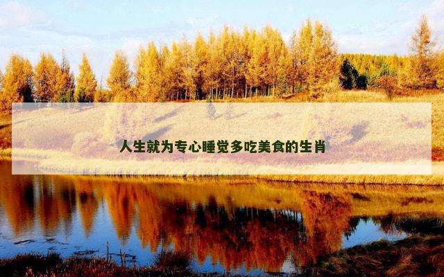 人生就为专心睡觉多吃美食的生肖