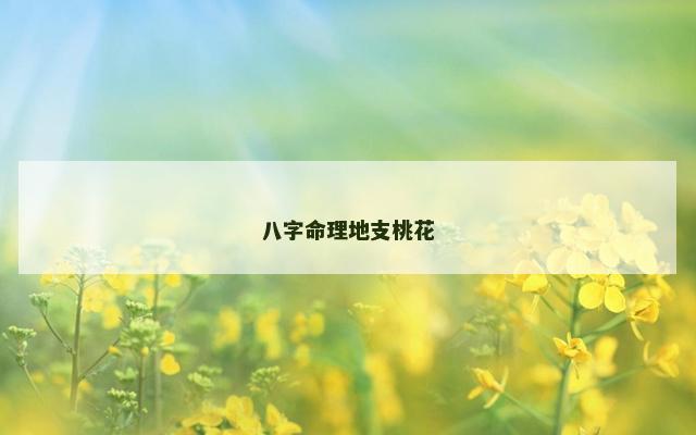 八字命理地支桃花