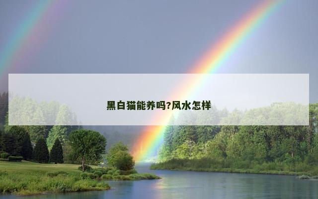 黑白猫能养吗?风水怎样