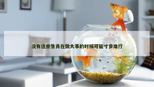 没有这些生肖在做大事的时候可能寸步难行
