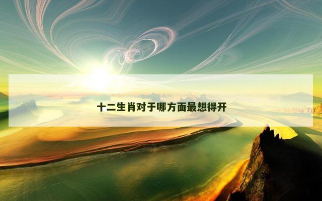 十二生肖对于哪方面最想得开