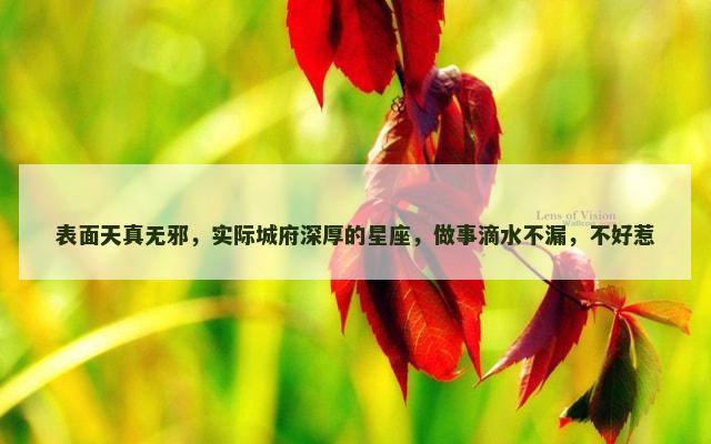 表面天真无邪，实际城府深厚的星座，做事滴水不漏，不好惹