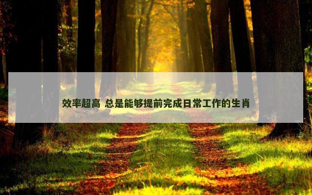 效率超高 总是能够提前完成日常工作的生肖
