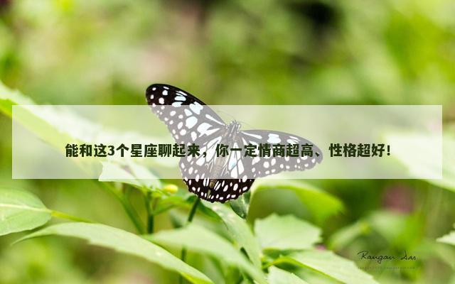 能和这3个星座聊起来，你一定情商超高、性格超好！