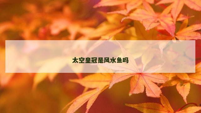 太空皇冠是风水鱼吗