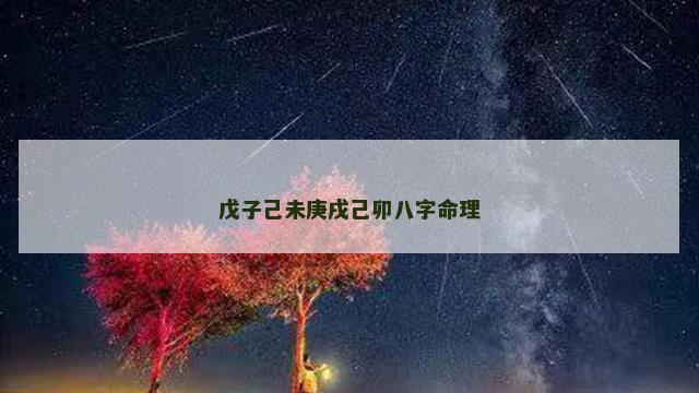 戊子己未庚戌己卯八字命理