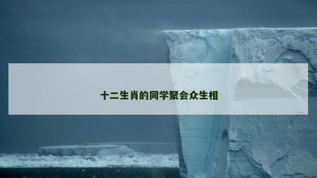 十二生肖的同学聚会众生相