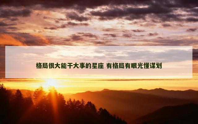 格局很大能干大事的星座 有格局有眼光懂谋划
