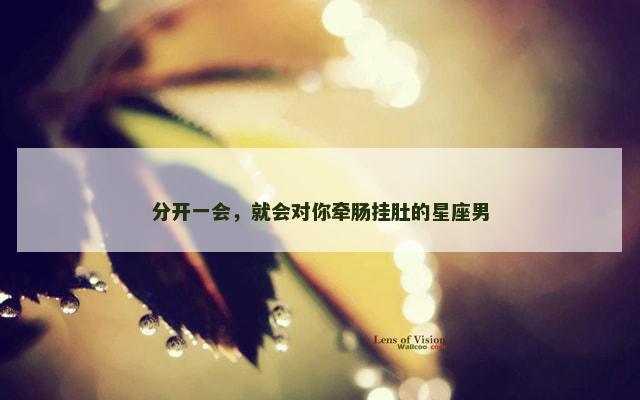 分开一会，就会对你牵肠挂肚的星座男