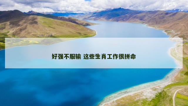 好强不服输 这些生肖工作很拼命