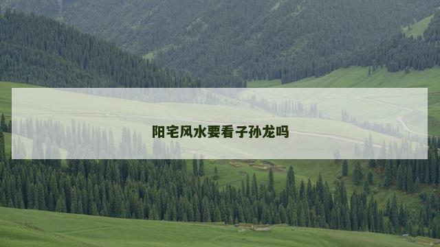 阳宅风水要看子孙龙吗
