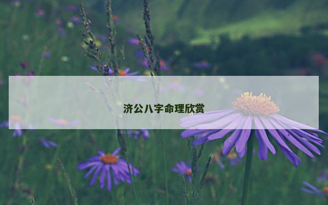 济公八字命理欣赏