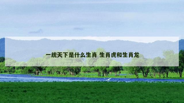 一统天下是什么生肖 生肖虎和生肖龙