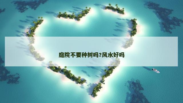 庭院不要种树吗?风水好吗