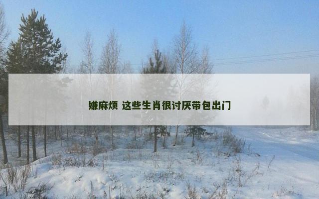 嫌麻烦 这些生肖很讨厌带包出门