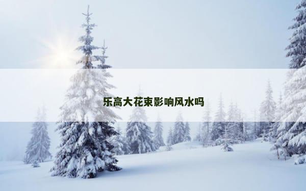 乐高大花束影响风水吗