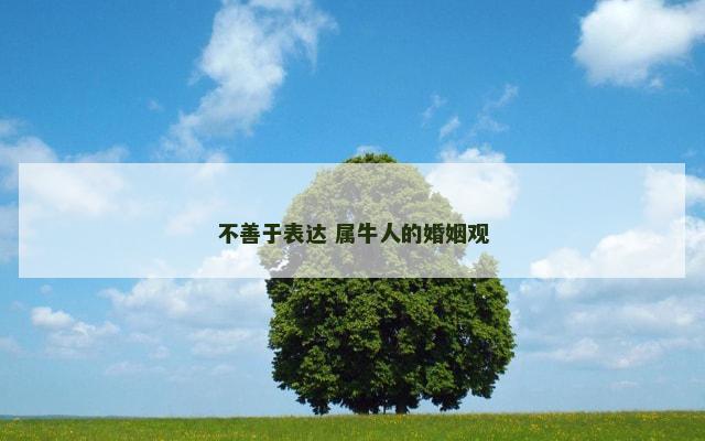 不善于表达 属牛人的婚姻观