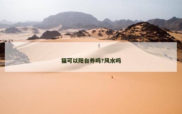 猫可以阳台养吗?风水吗