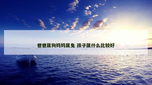 爸爸属狗妈妈属兔 孩子属什么比较好