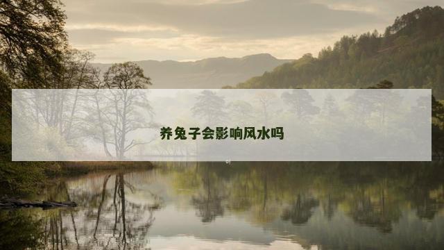 养兔子会影响风水吗