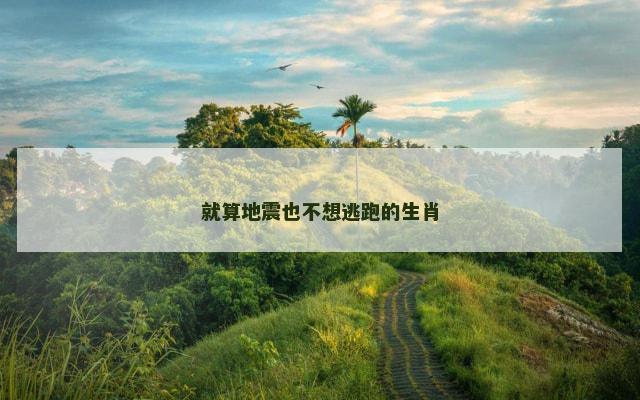 就算地震也不想逃跑的生肖