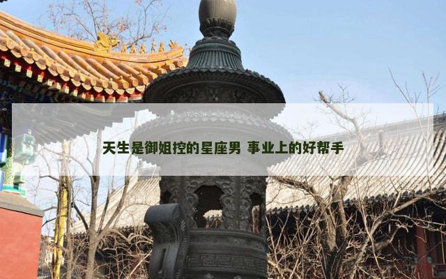 天生是御姐控的星座男 事业上的好帮手