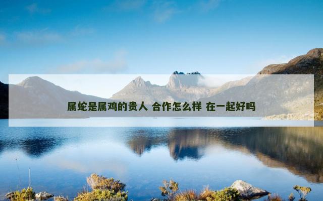 属蛇是属鸡的贵人 合作怎么样 在一起好吗