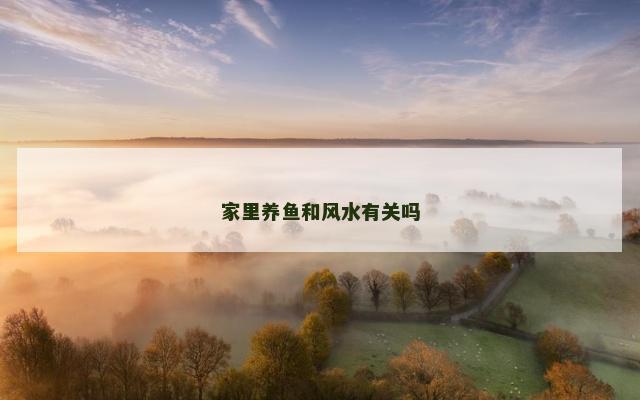 家里养鱼和风水有关吗