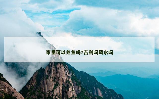 家里可以养鱼吗?吉利吗风水吗