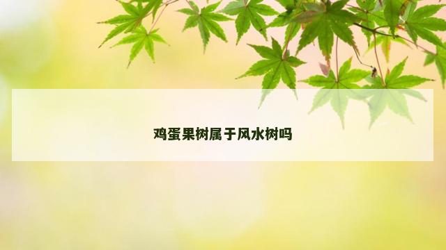 鸡蛋果树属于风水树吗