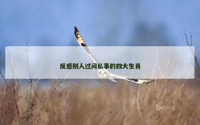 反感别人过问私事的四大生肖