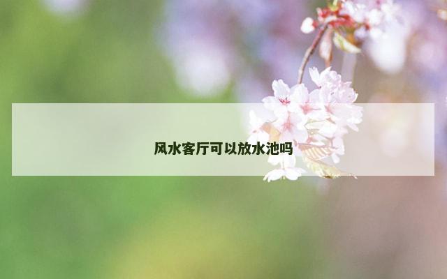 风水客厅可以放水池吗
