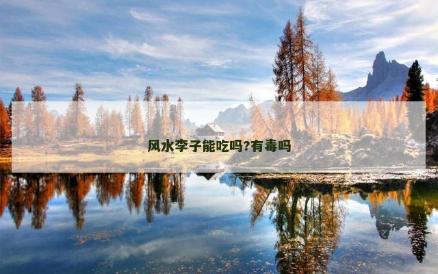 风水李子能吃吗?有毒吗