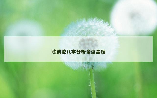 陈凯歌八字分析金尘命理