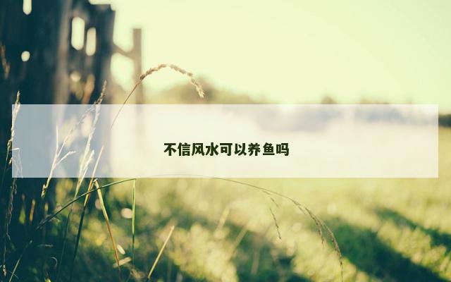 不信风水可以养鱼吗