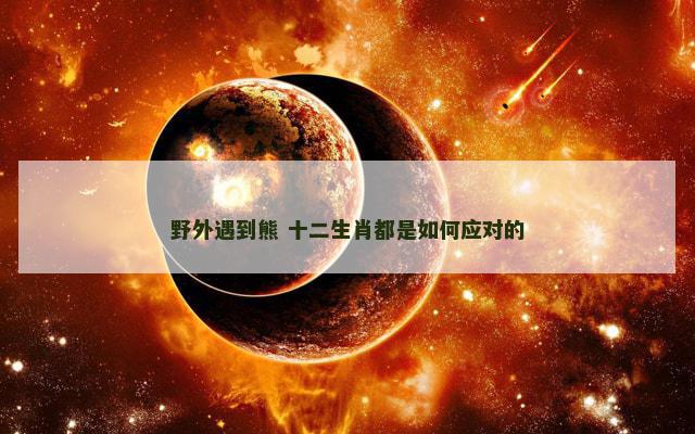 野外遇到熊 十二生肖都是如何应对的