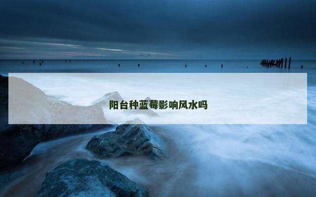 阳台种蓝莓影响风水吗