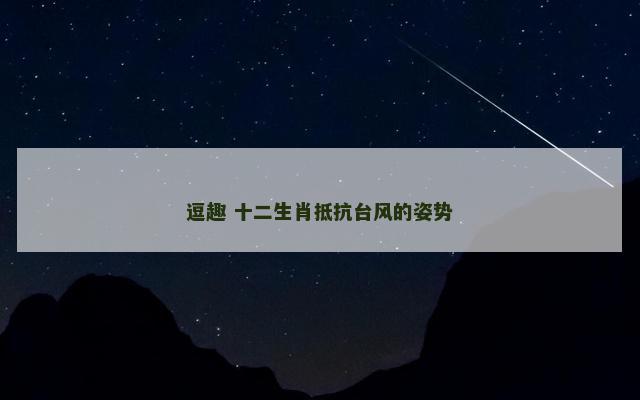 逗趣 十二生肖抵抗台风的姿势